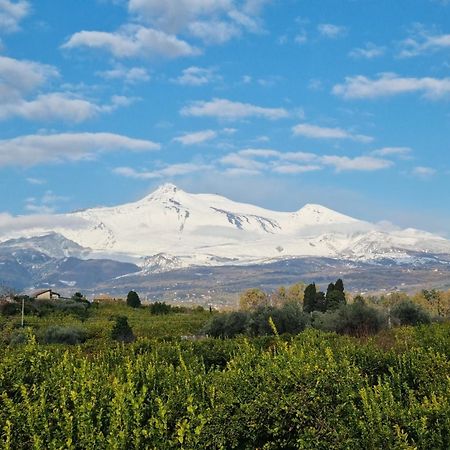 Le Dimore Del Corso II Ad Acireale Fra Catania, Taormina, Il Mare E L'Etna Exteriör bild