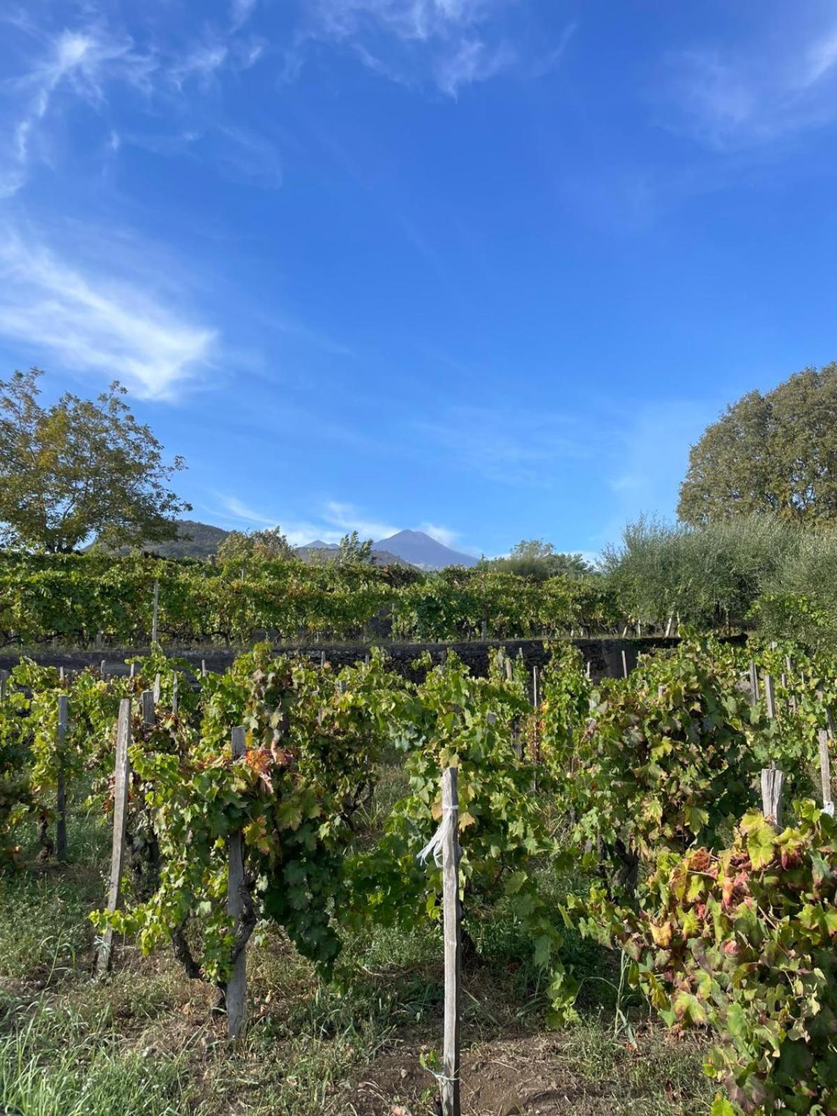 Le Dimore Del Corso II Ad Acireale Fra Catania, Taormina, Il Mare E L'Etna Exteriör bild